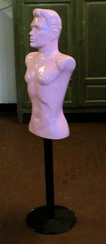 1099 - manichino mezzobusto rosa.jpg